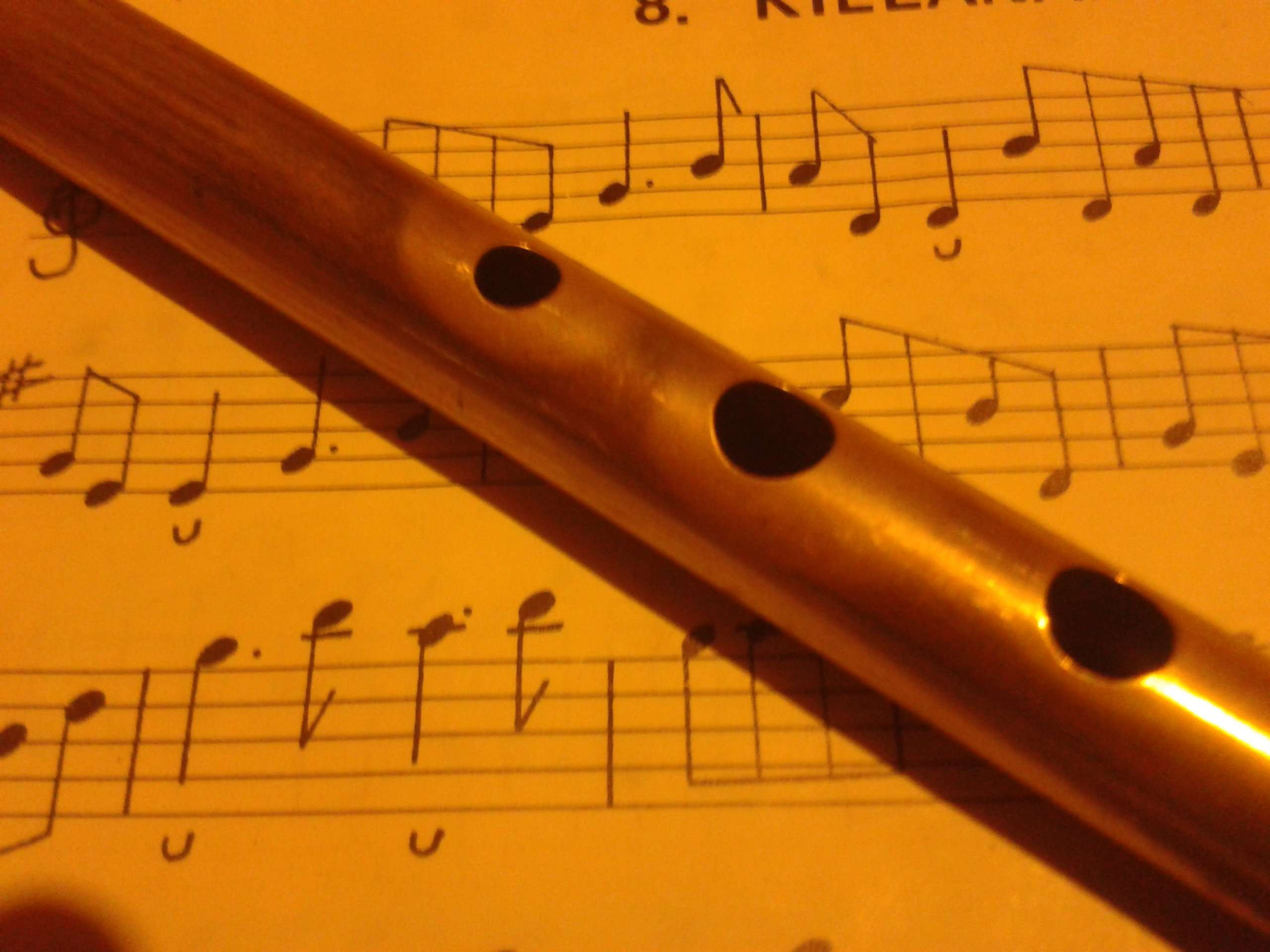 Tin Whistle Tutor Book