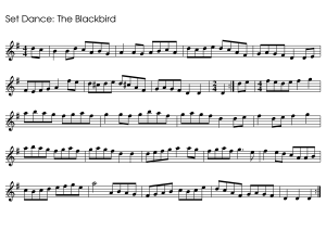 Set Dance Example - The Blackbird - Tune Types in Irish Traditional Music