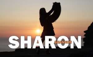 sharon shannon - Sharon Shannon - accordion